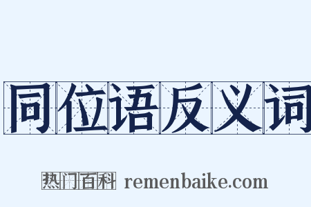 同位语反义词是什么意思的图片